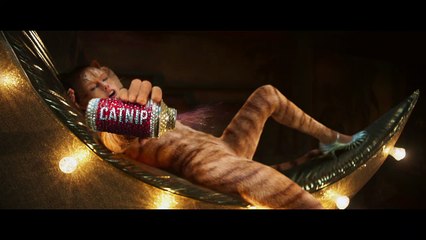 Cats: Breaking The Rules