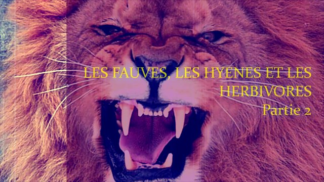 Les Fauves les Hyènes et les Herbivores, Mr BENCHENOUF (Edito Partie 2)
