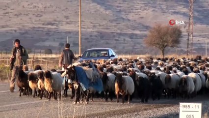 Göçerlerin zorlu dönüş yolculuğu başladı