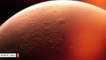 Scientist Claims To Have Spotted Insect-Like Beings In Mars Photos