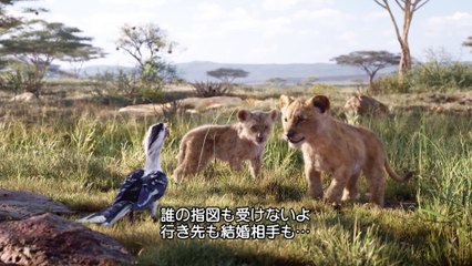 映画『ライオン・キング』もふもふのシンバに会える8分超のプレビュー映像