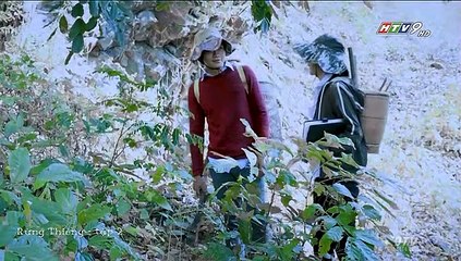 Rừng thiêng - tập 2