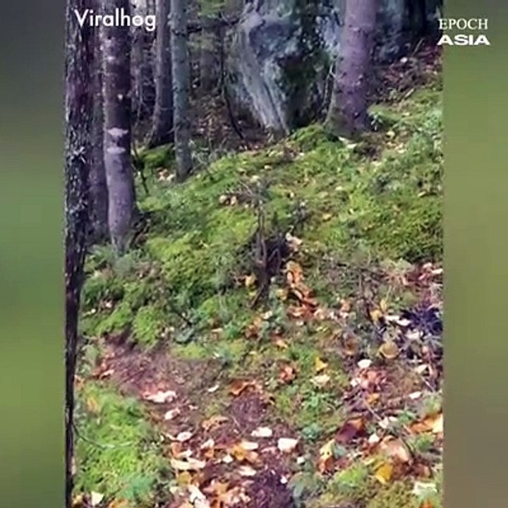 حينما تغضب الطبيعة