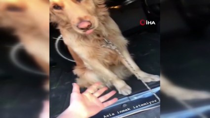 Eski sevgilisi tarafından öldürülen 19 yaşındaki genç kızın paylaşımı yürek burktu