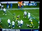 Troy Polamalu gets ROBBED of a TD