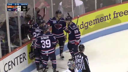 Greenville Swamp Rabbits 5, South Carolina Stingrays 2