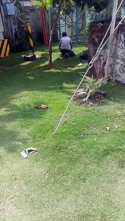 Cutting Grass by Hand in the Philippines