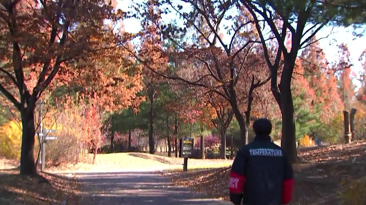 [날씨] 내일 낮부터 추위 풀려...쾌청하고 선선 / YTN