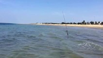 بحر الجبيل - شاطئ دارين