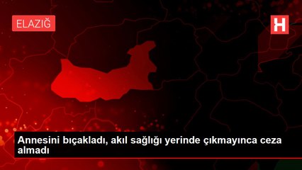 Download Video: Annesini bıçakladı, akıl sağlığı yerinde çıkmayınca ceza almadı