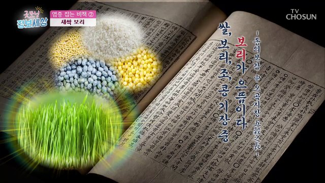 새싹채소에 100배 多?! 염증 배출 甲 '새싹보리'