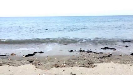 بحر الحويلات - الجبيل الصناعية