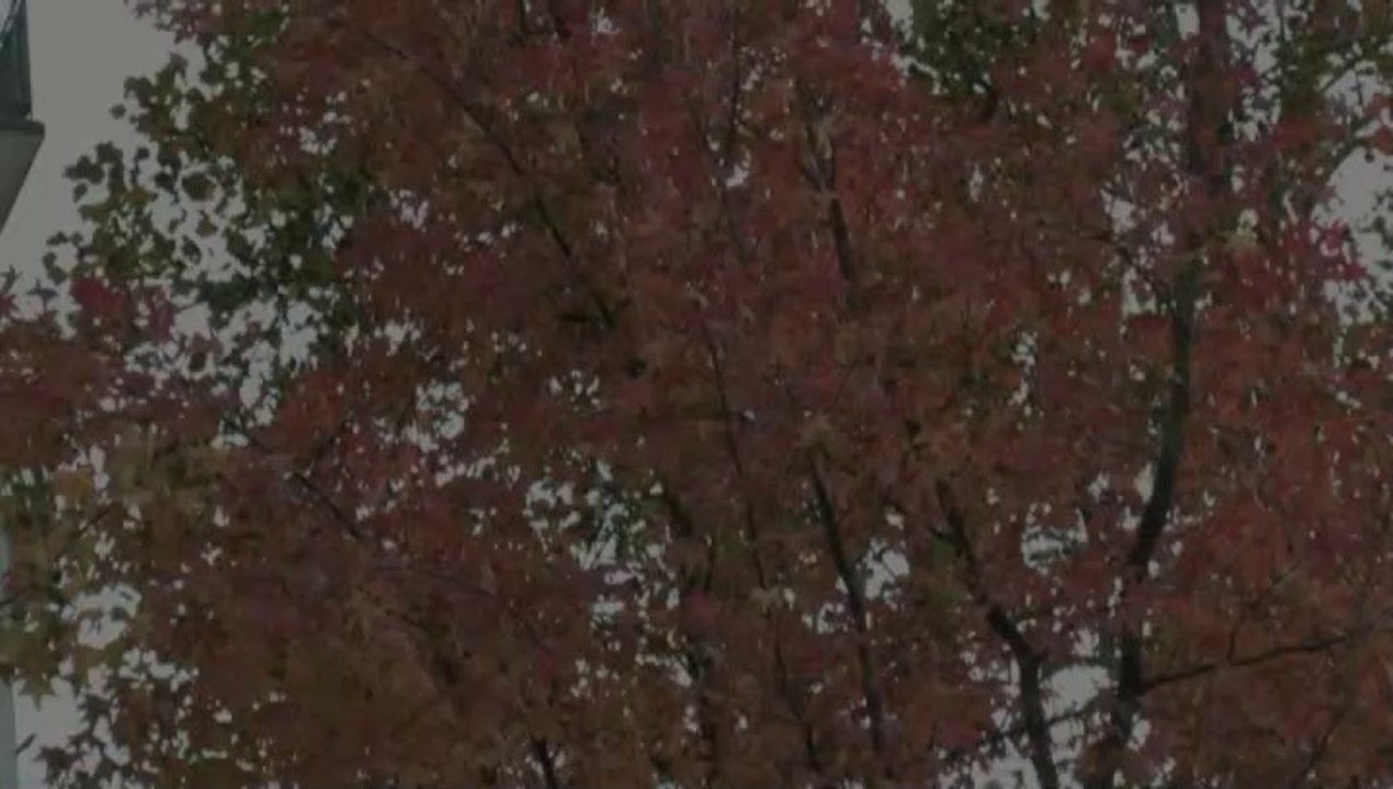 LES SCOOPS DE MICHOU W-D.D. - 10 NOVEMBRRE 2019 - PAU - INSTALLATION DE POUBELLES AU PASSAGE RELIANT L'AVENUE TRESPOEY À L'AVENUE DU STADE NAUTIQUE