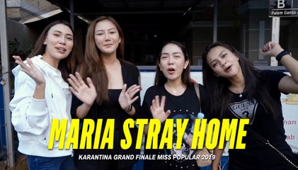 Maria Stray Home | Karantina Grand Finale Miss POPULAR 2019