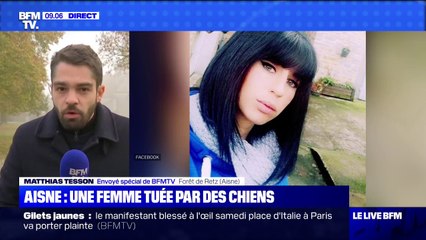 Une femme enceinte tuée par des chiens dans une forêt de l'Aisne