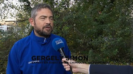 Sur le Danube, les minis bateaux de croisière polluent l'atmosphère