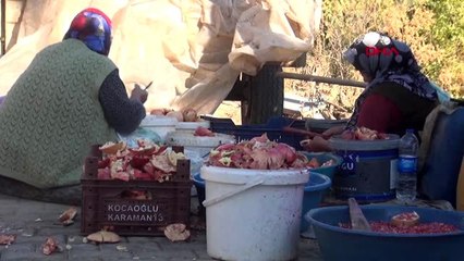 Karaman'da kadınların 'nar ekşisi' mesaisi