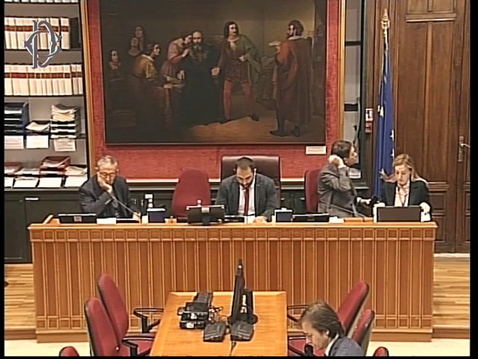 Roma - Conflitto di interessi, audizione di esperti (19.11.19)