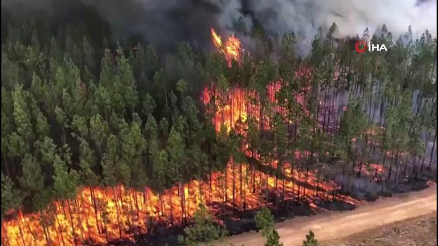 - Avustralya’da orman yangınları güneye doğru ilerliyor- Dumanlar Sidney’de gökyüzünü kapladı