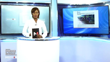 Presse Afrique - 20/11/2019