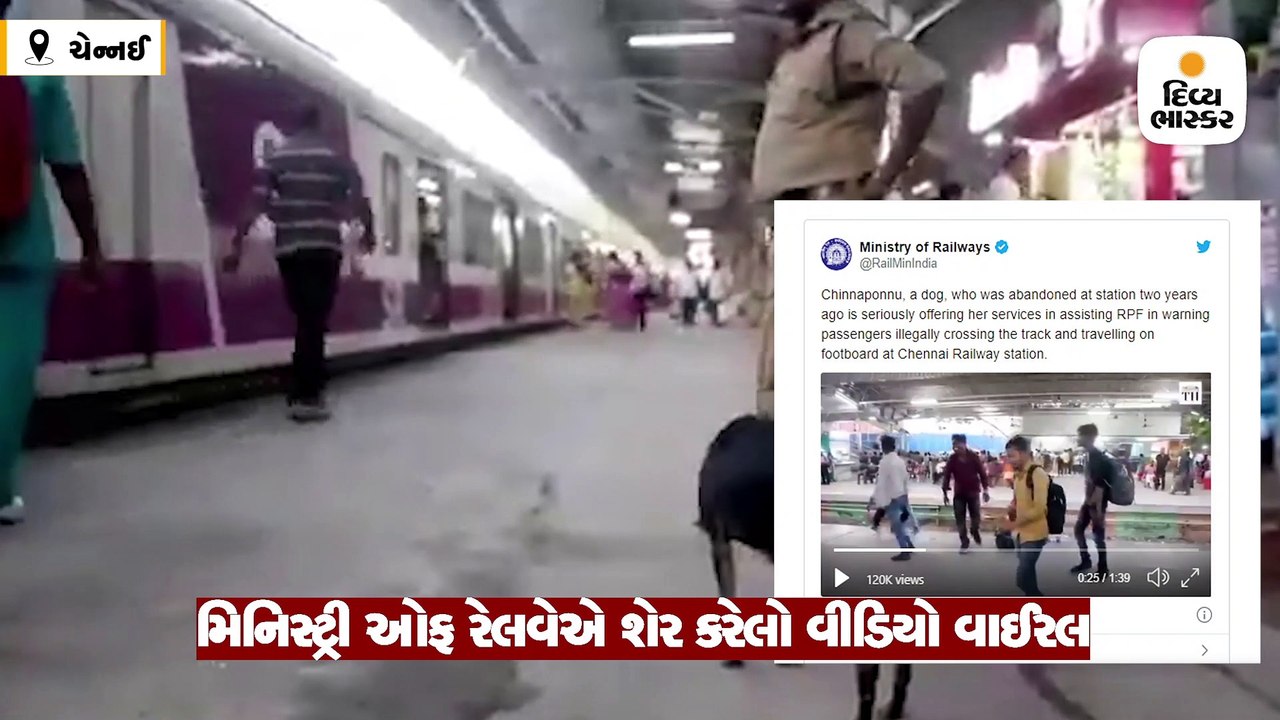 મુસાફરોની સામે ભસીને રેલવે ટ્રેક પાર કરતાં રોકે છે શ્વાન