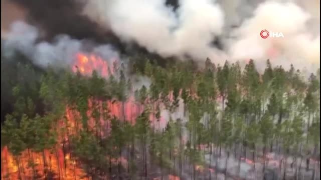 - Avustralya'da orman yangınları güneye doğru ilerliyor- Dumanlar Sidney'de gökyüzünü kapladı