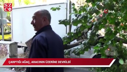 Çarptığı ağaç, aracının üzerine devrildi