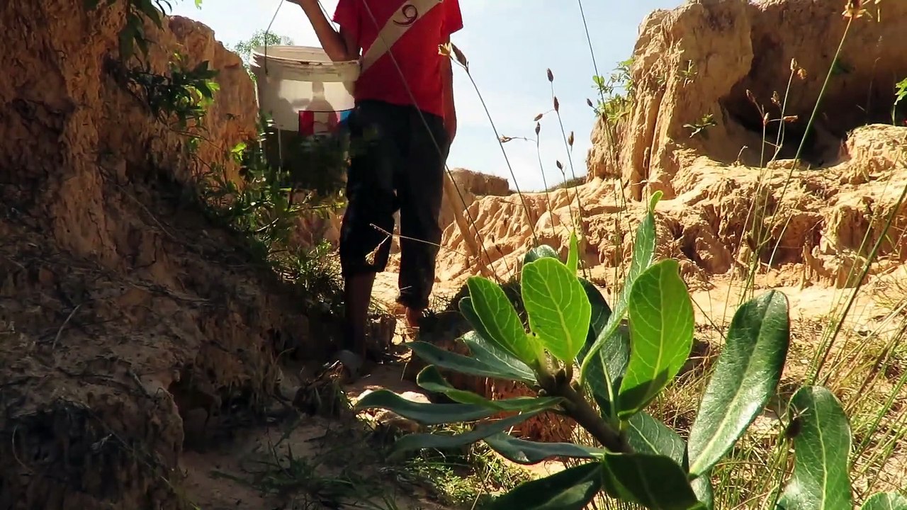 Experiment: Coca Cola Catch Crocodile In Hole | Experiment vs Crocodile | khmer Trap 2018