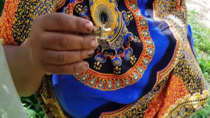 Kelebek yetiştirerek hem doğaya hem ailelerine sahip çıkıyorlar - MOMBASA