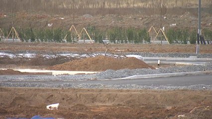 [경기] 평택에 대거 몰리는 글로벌 기업 / YTN