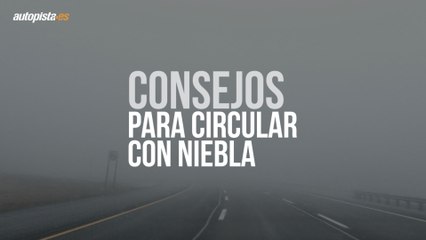 Cómo conducir con niebla en la carretera