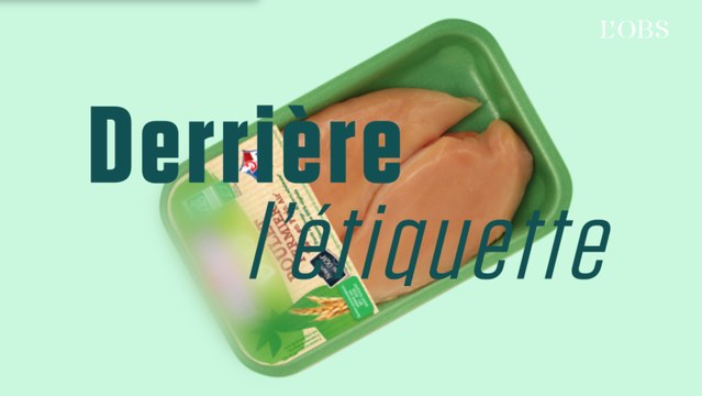 Que cachent les logos de recyclage sur les emballages en plastique ?