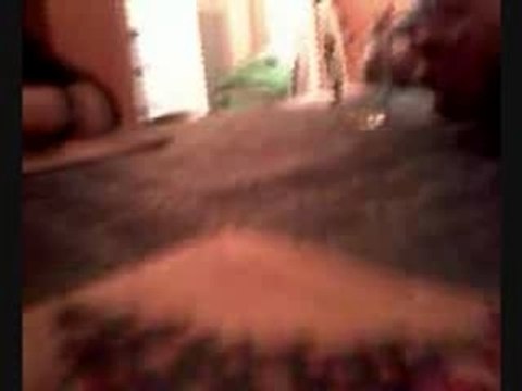 always cousin boulle!!!!!