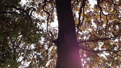 WEATHER: November 21st 2019