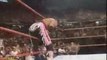 undertaker vs bret hart & guest ref shawn michaels 1