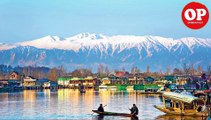 Huge Number of Stone Pelters Gets Arrest in Jammu and Kashmir