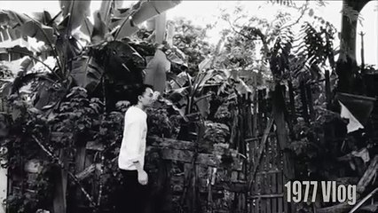 Phim mới Cậu Vàng cực mạnh (Cậu Vàng Trong Vai Chó Shiba)