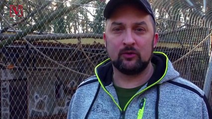 Rare Baby Spider Monkey is Hailed as ‘Birth of the Year’