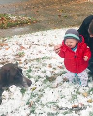 Funny Baby and Daddy Playing in Snow Fail Moments