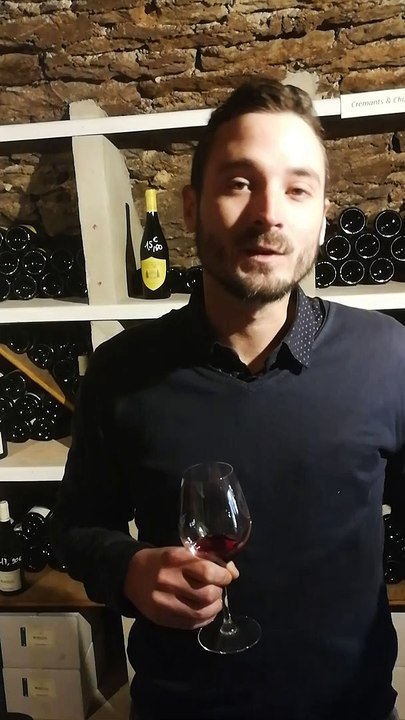 Dégustation du Beaujolais nouveau avec un caviste professionnel