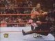 undertaker vs bret hart & guest referee shawn michaels 2