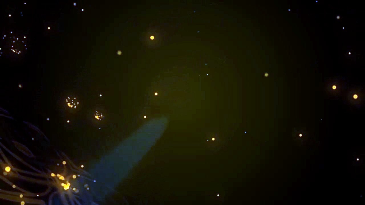 Dhruv galgotia dhruv galgotia galgotia padmini galgotia