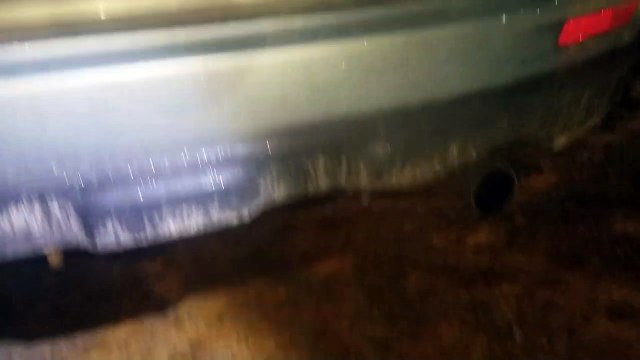 Il ouvre la voiture.. et tombe sur un ours dans la voiture !