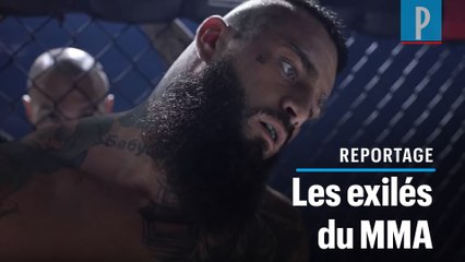 MMA : «Nous organiserons des combats en France dès 2020», assure le patron  de l'UFC - Le Parisien