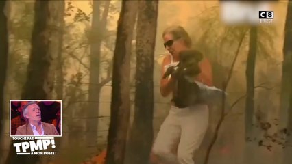 Le top 8 des vidéos qu'il ne fallait pas louper : Un koala sauvé des flammes en Australie