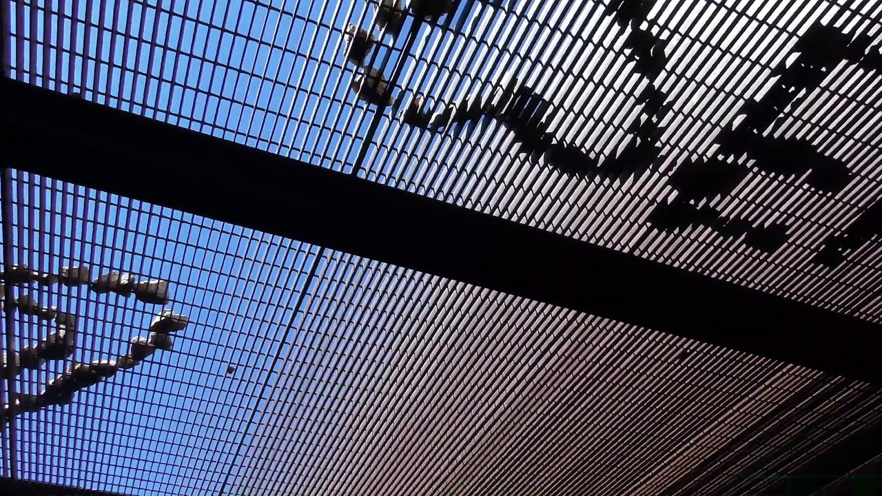 Exploring The Tin Mines of El Paso (Abandoned Mines in The Franklin Mountains)