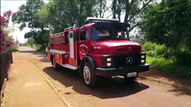 Após ataque de abelhas, bombeiros são chamados ao Interlagos