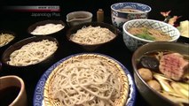 Let's go in beautiful japan and eat some food in Soba Restaurants|Japanology Plus