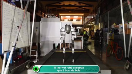 O incrível robô avestruz que é bom de bola