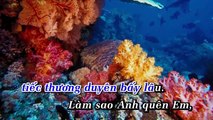 Karaoke Lời Cuối Cho Tình Yêu - Cẩm Ly Ft Vân Quang Long Beat
